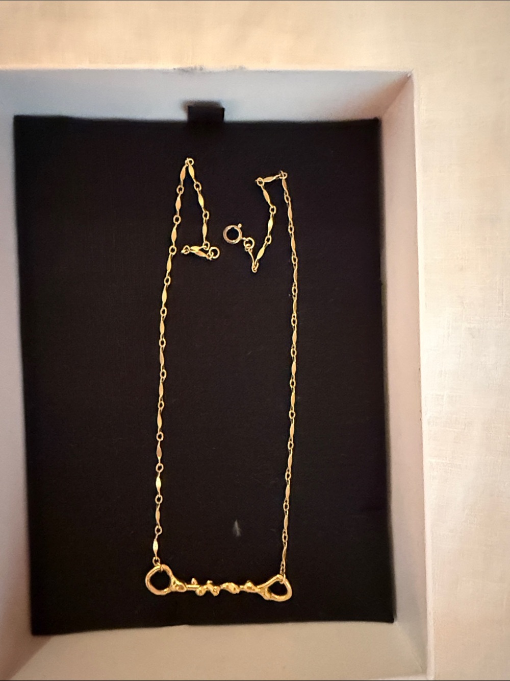 ALIGHIERI Gold Link Necklace original embossed box